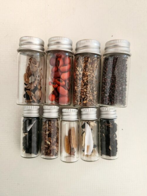Seeds