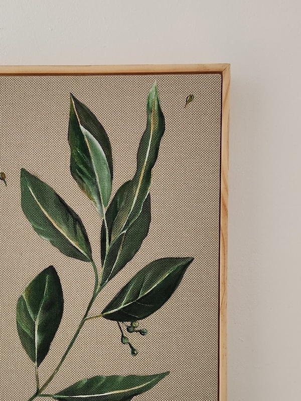 bay leaf painting