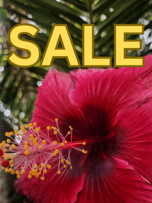 SALE