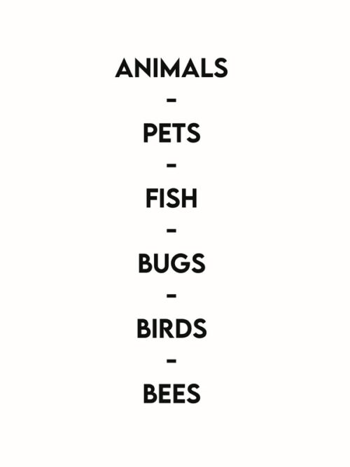 Animal Stickers