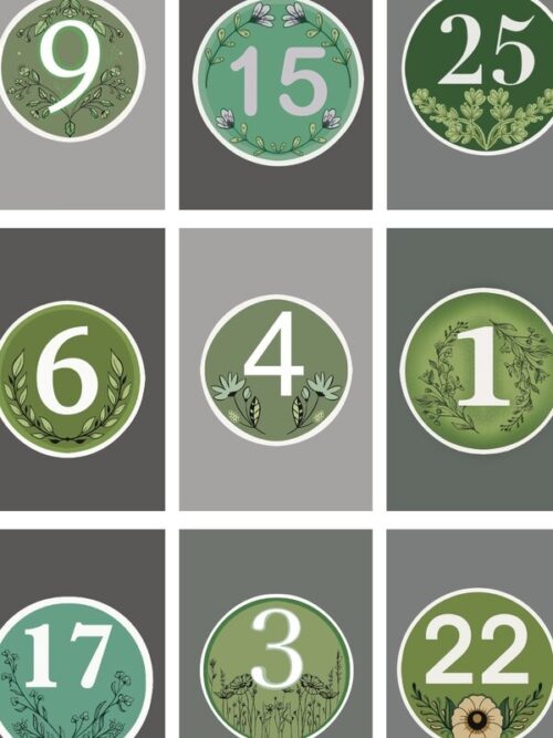 Wheelie Bin Numbers