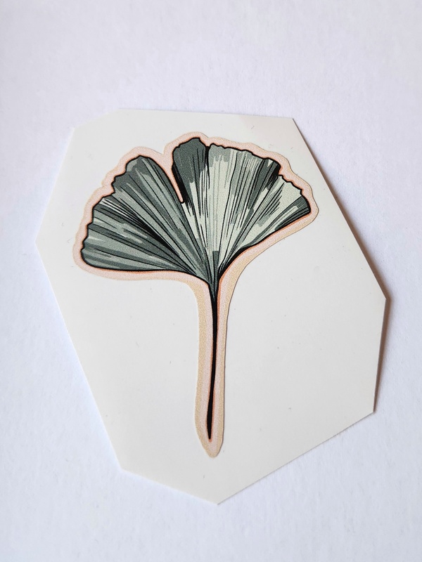 ginkgo drawing