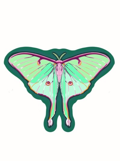 Luna Moth – Sticker - Pond and Garden Plants