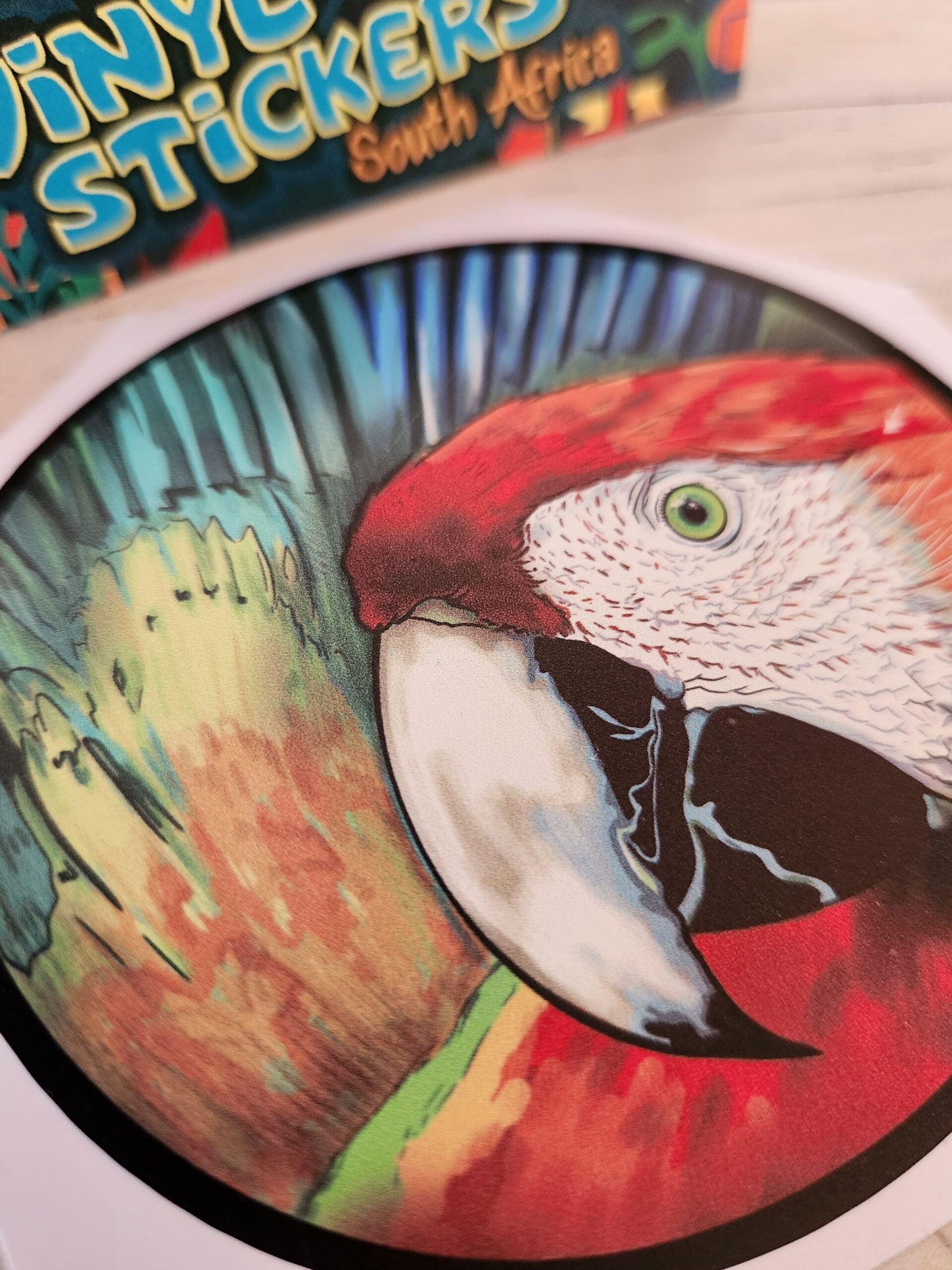 parrots for sale in Joburg