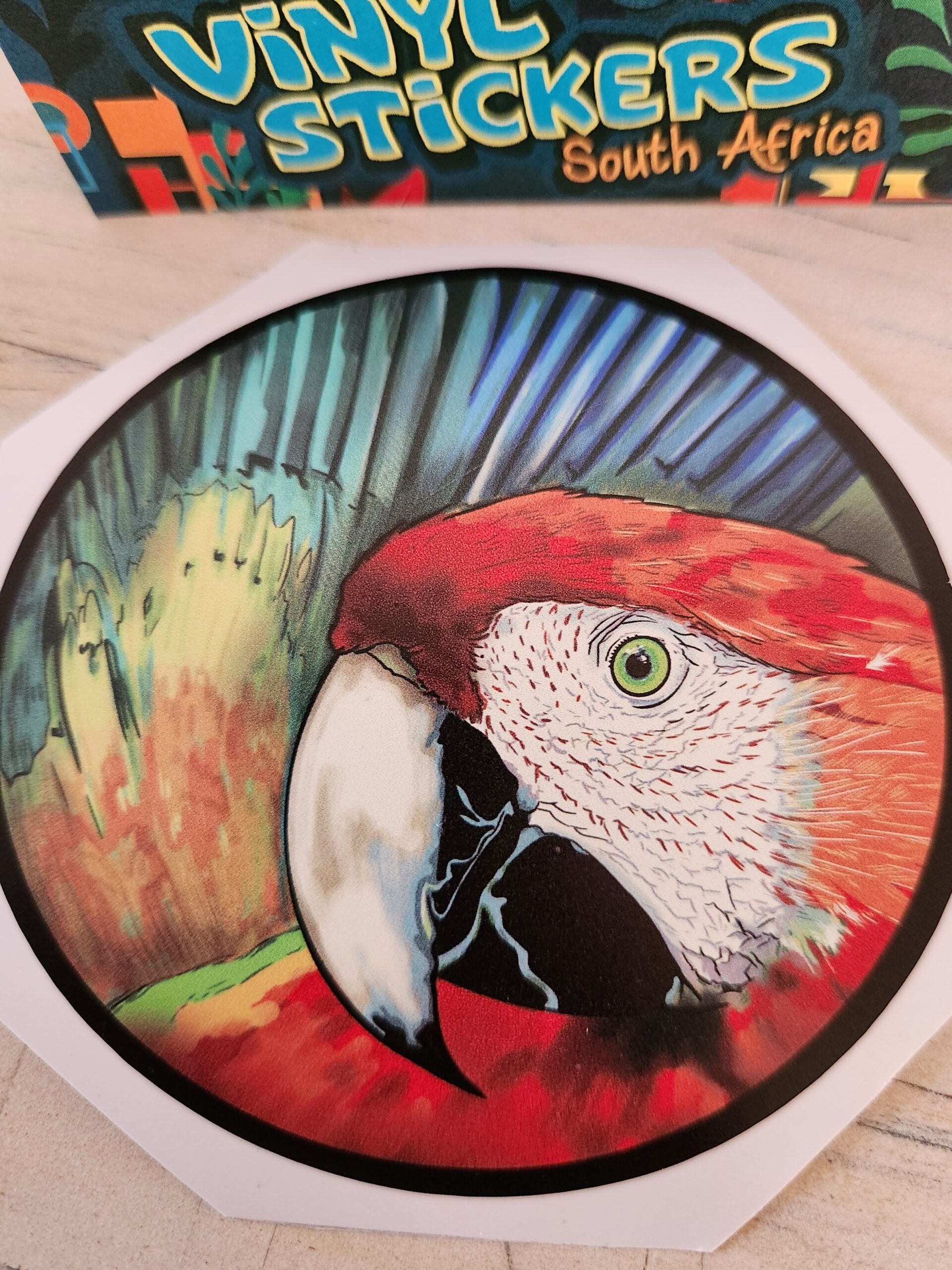 red macaw south africa